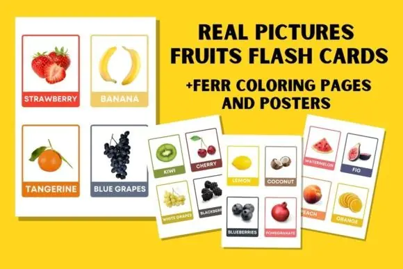 Fruits Real Pictures Flash Cards Printable for Kids – Montessori 3 Part Nomenclature Cards, Editable Fruit Vocabulary Learning Set, Preschool Homeschool and Classroom Educational Resource
