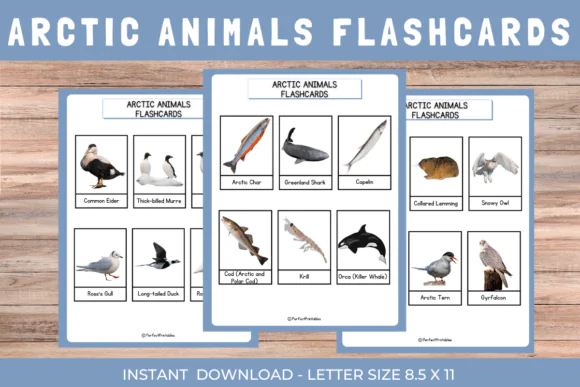 Arctic Winter Animals Flashcards | Printable Montessori 3-Part Polar Wildlife Cards for Kids, Homeschool, Classroom Science, Winter Units & Early Vocabulary Learning