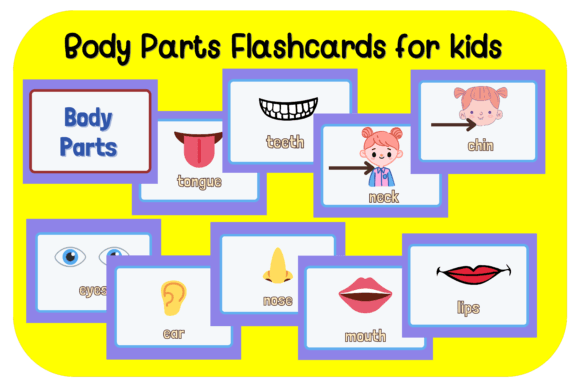 Body Parts Flashcards for Kids Printable – Preschool and Kindergarten Human Body Learning Cards, Vocabulary and Reading Practice Flashcards for Homeschool and Classroom Use