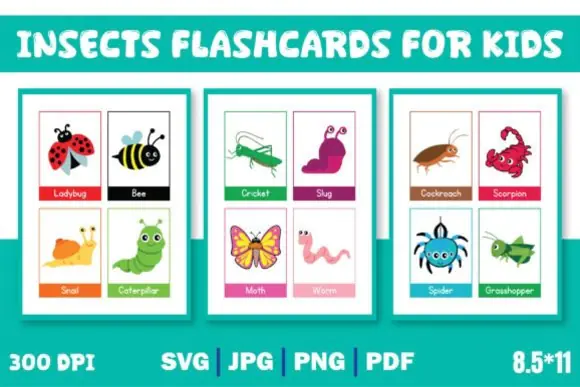 Insects Flashcards Printable for Kids – Preschool and Kindergarten Bug Learning Cards, Homeschool Science Vocabulary Activity Set, Educational Insect Flashcards in PDF SVG JPG and PNG