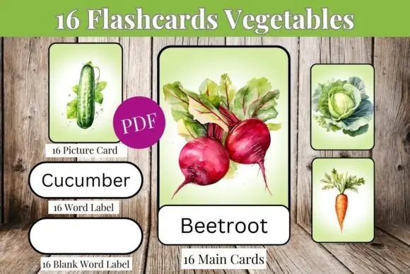 16 Adorable Vegetables Flashcards | Printable Vegetable Learning Cards for Kids, Preschool, Kindergarten, Homeschool, Daycare, Vocabulary & Early Reading Activities