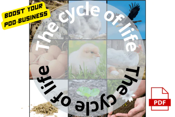 Cycle of Life Flashcards for Kids | Printable Life Cycle Sorting Cards for Preschool, Kindergarten, Montessori, Homeschool, Classroom Science & Early Learning Activities