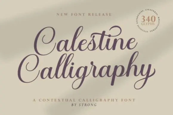 Calestine Calligraphy Font | Delicate Elegant Handwritten Script Typeface for Wedding Invitations, Logos, Branding, Stationery & Romantic Designs